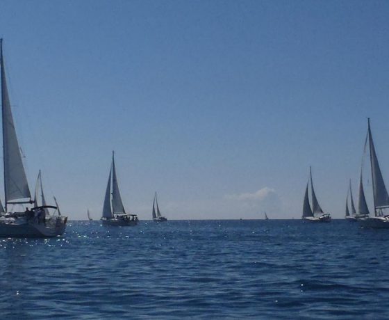 Segelregatta auf Mallorca